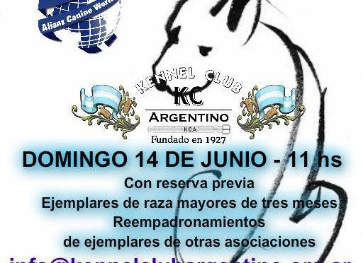 Imagen destacada del artículo «Jornada de Registros - Rosario»